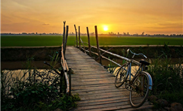 YAO叔星座2025年8月25日运势