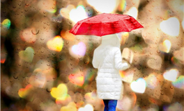 每日生肖运势2025年10月17日(八月二十六)