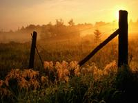 艾薇一周星座运势（10.31-11.6）