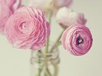 ElleHk每周星座运势（5.8-5.14）