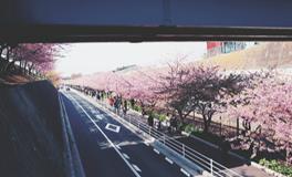 克莱尔每日运势2018年1月10日