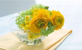 狂月:今日运势2018年5月2日