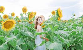 李云天一周星座运程（9.10-9.16）