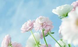狂月今日运势2018年10月15日