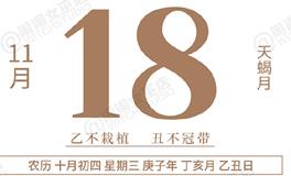 闹闹女巫店今日运势2020年11月18日