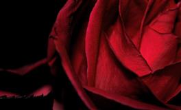 花甜12星座一周运势（6.13-6.19）