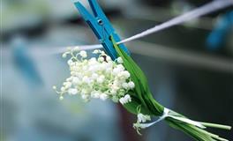 唐绮阳/唐立淇今日运势2022年7月7日