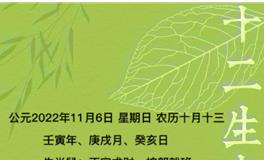 秦阳明每日生肖运势2022年11月6日