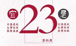 闹闹女巫店今日运势2023年12月23日