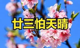 “不怕廿三阴一日，就怕廿三晴一天”，今日廿三晴空万里，预示着什么？