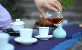 韧性十足，迷茫时最有力量的星座