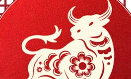 董易林生肖牛2025年11月运势