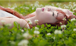 滴天居士2025年11月25日生肖运势