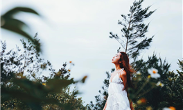 滴天居士每周生肖运势（11.17-11.23）