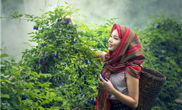 星座女神：摩羯座本周运势（11.24-11.30）