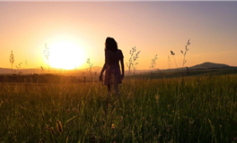 属猴的2026年运势/运程 | 关世华