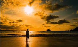 苏民峰属鼠人2026年运势运程