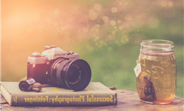 属兔人2026年官运如何