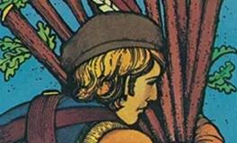 爱莎公主处女座一周塔罗运势（11.17-11.23）