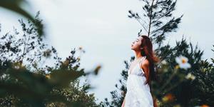 滴天居士每周生肖运势（11.17-11.23）