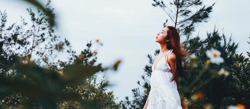 滴天居士每周生肖运势（11.17-11.23）