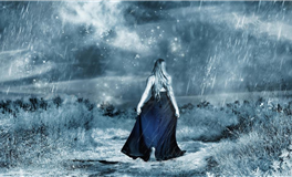 属牛2026年运势运程