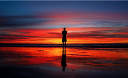 狂月今日星座运势2025年11月16日