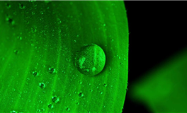 2026年属兔人的财神方位