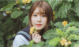 D.H.APP生肖蛇2026年运势