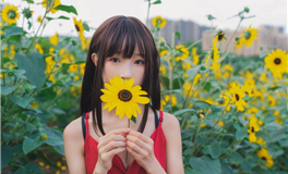 占星网狮子座2026年运势