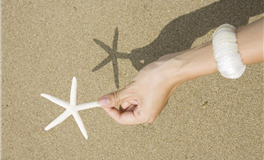 马乔丽2025年12月星座运势