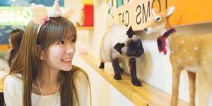 内心强大、遇事不慌的三大星座