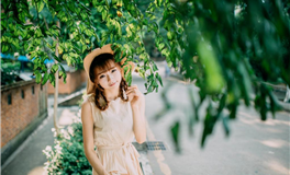 董易姗每日生肖运势2026年1月11日