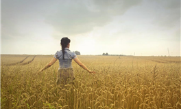 秦阳明每日生肖运势2026年1月4日