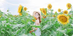 拿青春赌爱情，容易陷入爱情陷阱的星座