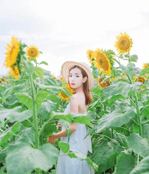 拿青春赌爱情，容易陷入爱情陷阱的星座