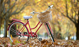 蓝蓝占星双鱼座一周运势（2.2-2.8）