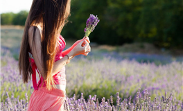 MT曼陀罗华一周星象运势（4.13-4.18）