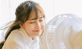 董易姗每日生肖运势2026年4月11日